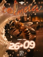 COLMEIA | MILK JURERÊ