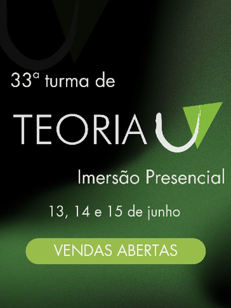 Teoria U 33