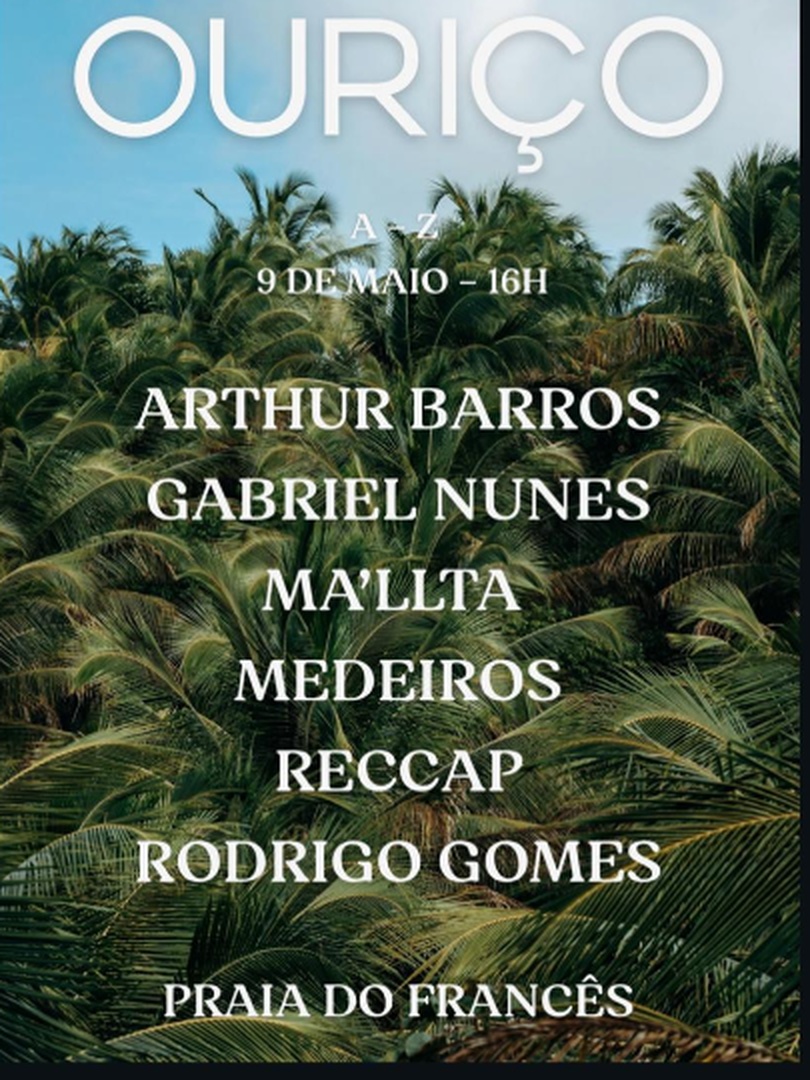 Ouriço em Marechal Deodoro